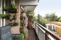 Woning Werkendamstraat 18 Amsterdam