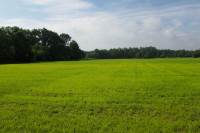 Bouwgrond Mussenkampseweg 11 Heerde