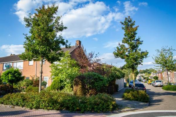 Woning Azaleastraat 23 Oosterhout Nb