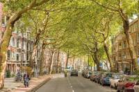 Woning Van Cittersstraat 41 Rotterdam