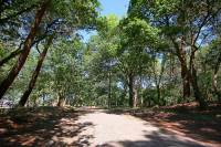 Bouwgrond Startebos Fase 3 Meijel