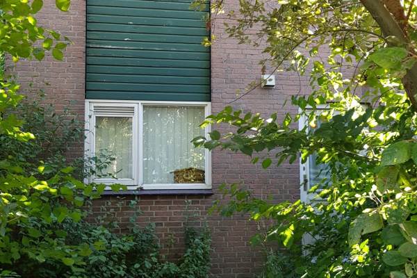 Woning Silverkamp 82 Hendrik-Ido-Ambacht