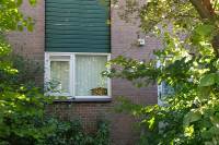 Woning Silverkamp 82 Hendrik-Ido-Ambacht