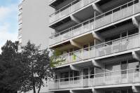 Woning Tolhuis 6724 37 TC Nijmegen