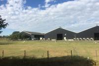 Woning Scheeweg 15 Ritthem