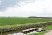 Woning Wijnverlater 63 Dronten