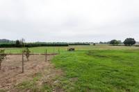 Woning De Paad 16 Well L