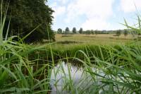 Bouwgrond Voorweg 175 Zoetermeer