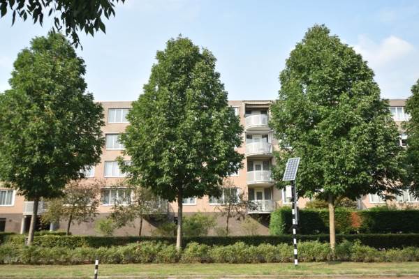 Woning Kanteel 43 Amsterdam