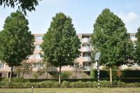 Woning Kanteel 43 Amsterdam