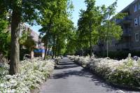 Woning Steenderenstraat 22 Amsterdam