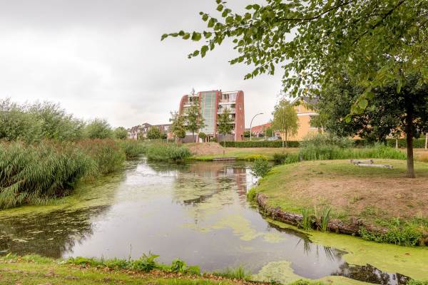 Woning Watermunt 80 Hendrik-Ido-Ambacht