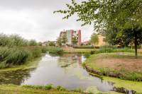 Woning Watermunt 80 Hendrik-Ido-Ambacht