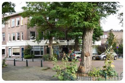 Woning Van Imhoffplein 19 Den Haag