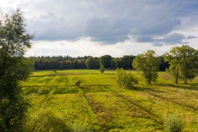 Woning Onder de Bomen 20 Renkum