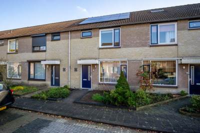 Woning Walstro 10 Best