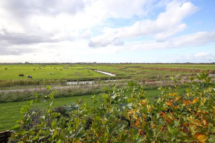 Woning Cantate 51 Zaandam