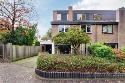 Woning Steltlopen 10 Best