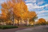 Woning Schotlandstraat 97 Haarlem