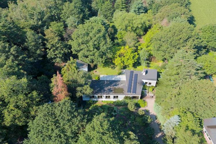 Woning Bosrand 6 Lieshout