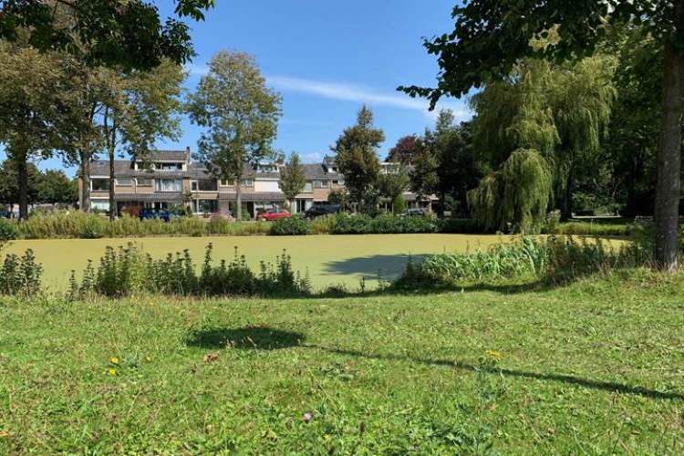 Woning Hendrik Casimirstraat 38 Castricum