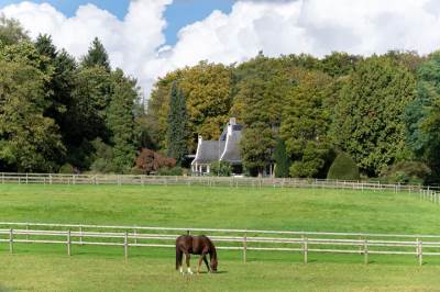 Woning van Borsselenweg 31 Oosterbeek