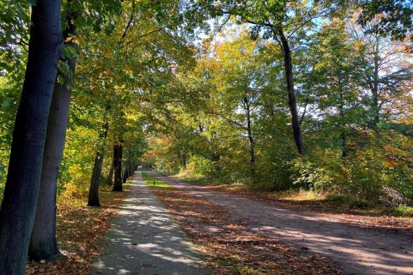 Bouwgrond Oude Markeloseweg 3 RIJSSEN