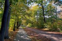 Bouwgrond Oude Markeloseweg 3 RIJSSEN