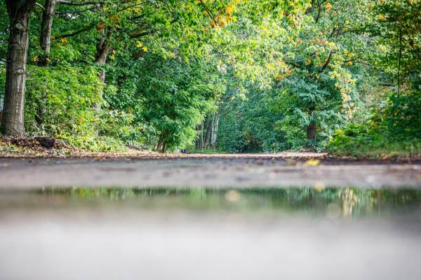 Bouwgrond Grenadierlaan Kavel 18-boswaard WEERT