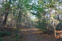 Woning Zichtdreef-larikslaan 0 PUTTE