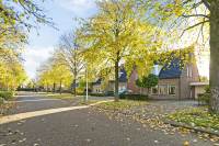 Woning Europalaan 9 Vlijmen