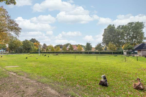 Woning Leliestraat 3 DIDAM