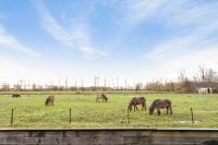 Woning F Cleveringastraat 28 WEHE-DEN HOORN