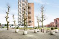 Woning Ecuplein 11 AMSTERDAM