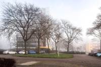 Woning Scheerling 177 Kampen