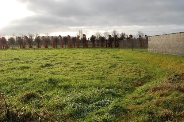 Bouwgrond Waterwilg 0Ong SINT-OEDENRODE