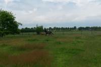 Garage Goordonksedijk 8a Veghel