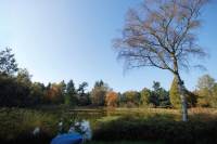 Bouwgrond Gulberg 3 Nuenen