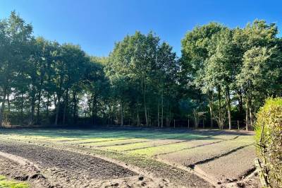 Bouwgrond Lepelstraat 30b Sint Anthonis