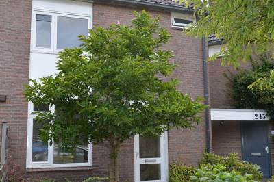 Woning Bruntingerbrink 243 Emmen