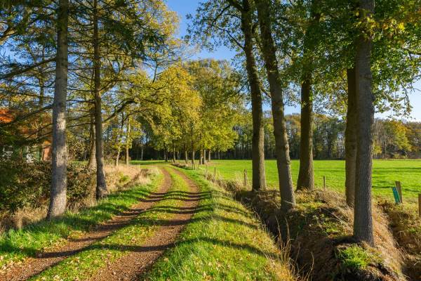Woning Hijinkhoekweg 43 Winterswijk Kotten