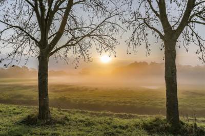Woning Van Leeuwenhoeklaan 11 Haren (GR)