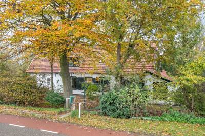 Woning Steenplaats 46 Strijen