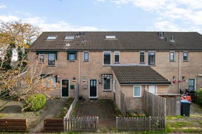 Woning Konijn 3 Hellevoetsluis