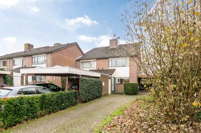 Woning Iepenhof 31 Dieren