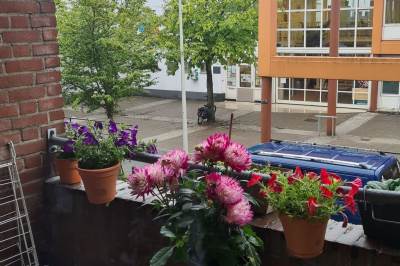 Woning Reitzstraat 177 Den Haag