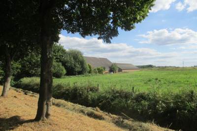 Woning Hamdijk 14 Bad Nieuweschans
