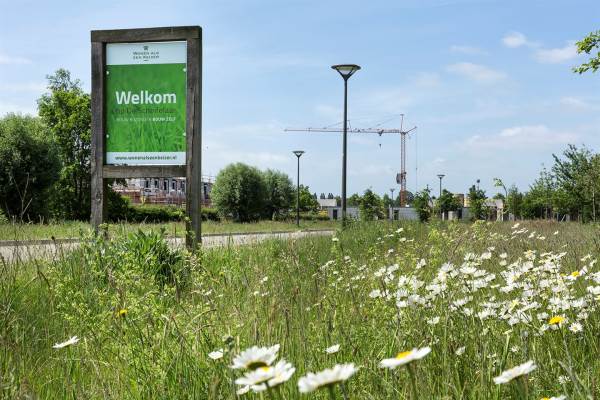 Bouwgrond De Scheifelaar 552 kavel 6 Veghel