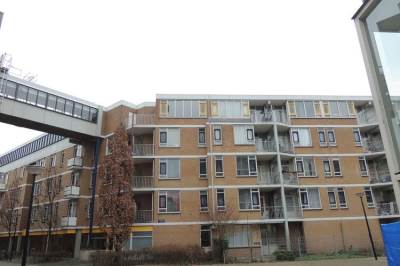 Woning Haardstee 125 Amsterdam