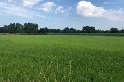 Bouwgrond Akkerweg kavel 2 Vianen (NB)